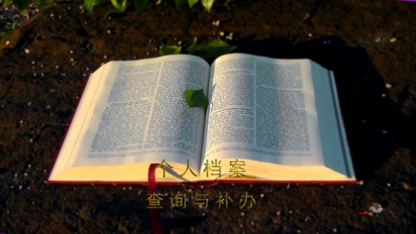 商丘市怎么查个人档案在哪里？