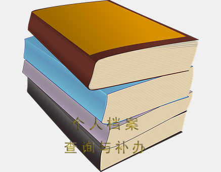 南阳市个人档案查询系统，如何查找毕业后的档案
