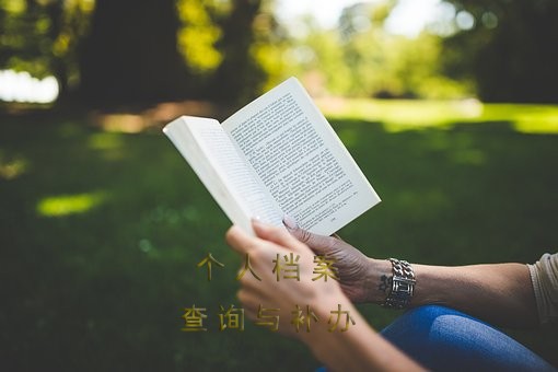 秦皇岛市人才中心，个人档案如何查询