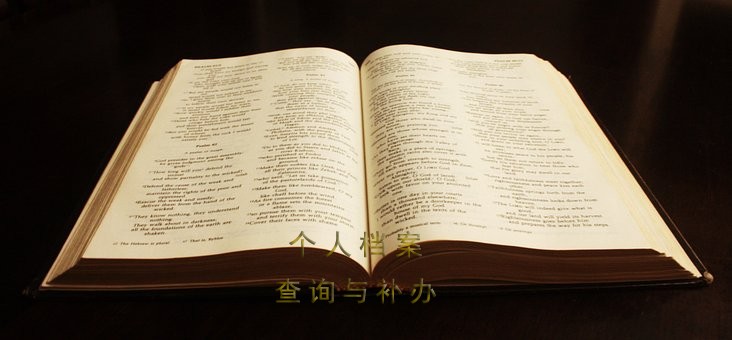 大学生档案管理与维护指南