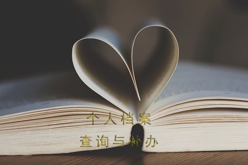 档案存放地查询