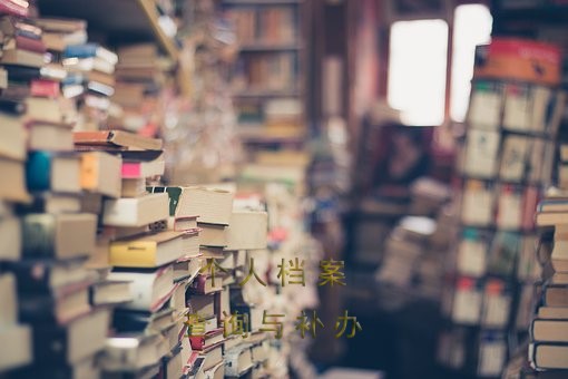 生源地人才中心档案查询指南：如何查找个人档案