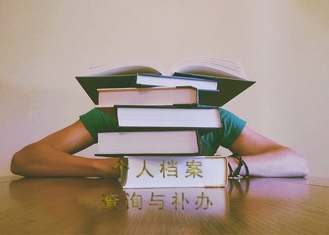 河南档案查询入口