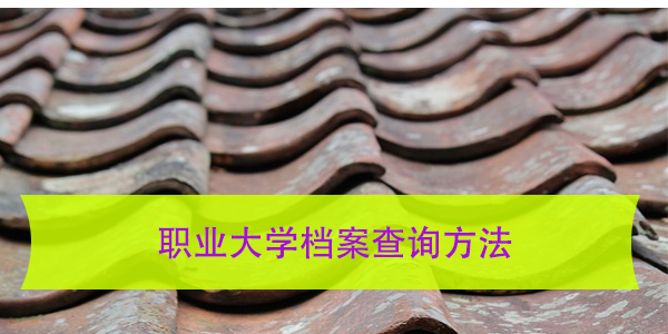 职业大学档案查询方法，一分钟看会！