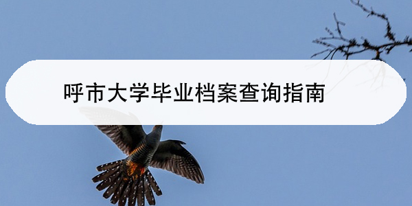 呼市大学毕业档案查询指南，档案管理不再迷茫