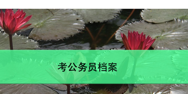 考公务员档案，如何查找与管理？