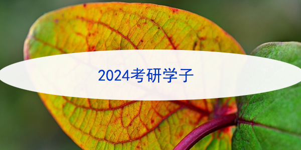 2024考研学子，你的档案达标了吗？