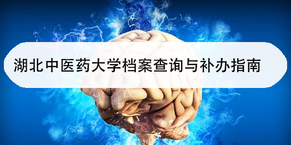 湖北中医药大学档案查询与补办指南，解决档案难题！