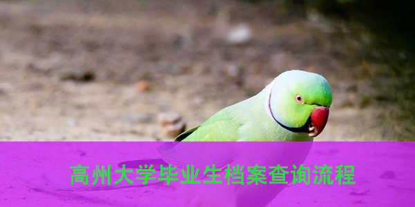 高州大学毕业生档案查询流程，轻松掌握档案动态！