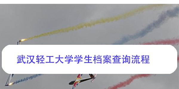 武汉轻工大学学生档案查询流程，毕业档案去向如何查询？