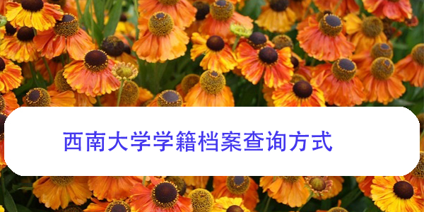 西南大学学籍档案查询方式，如何轻松获取？