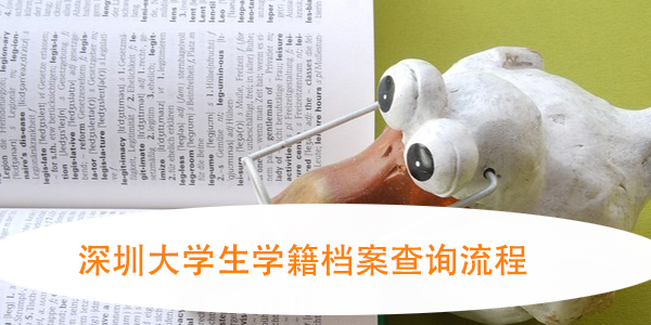 深圳大学生学籍档案查询流程，如何高效办理？