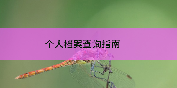 个人档案查询指南，解决档案难题的新方法！