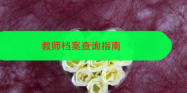 教师档案查询指南，轻松解决档案所地问题！