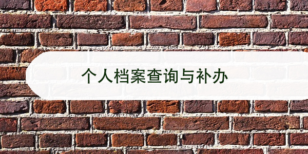 个人档案查询与补办，这些关键步骤你不能错过！