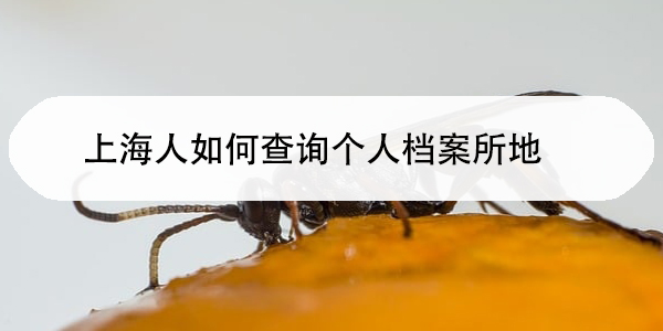 上海人如何查询个人档案所地，档案查询攻略来啦！