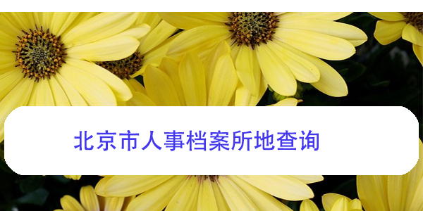 北京市人事档案所地查询，找不到怎么办？