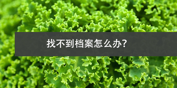 个人档案查询流程详解，找不到档案怎么办？