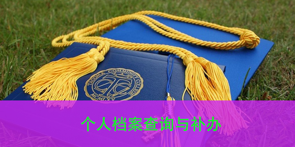 个人档案查询与补办，一站式服务指南