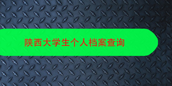 陕西大学生个人档案查询，搬板凳坐下来听！