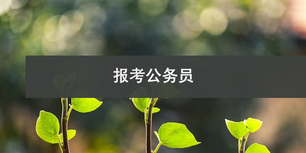 报考公务员，档案存放单位怎么填？