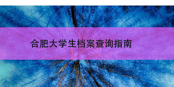 合肥大学生档案查询指南，档案所地如何查找？