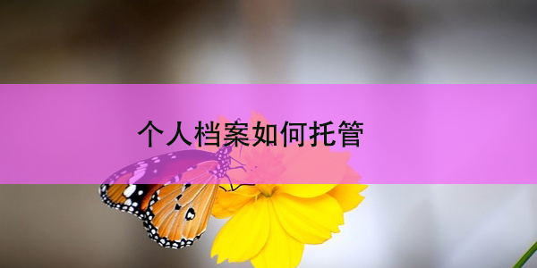 个人档案如何托管，档案管理的重要性