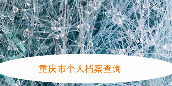 重庆市个人档案查询，如何轻松掌握档案所地？