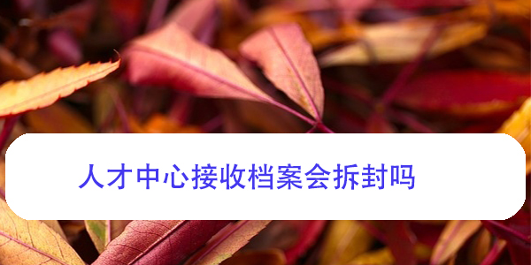 人才中心接收档案会拆封吗，档案处理流程详解