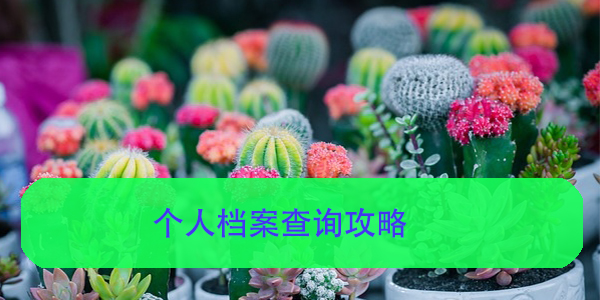 个人档案查询攻略，如何快速找到你的档案所在地？