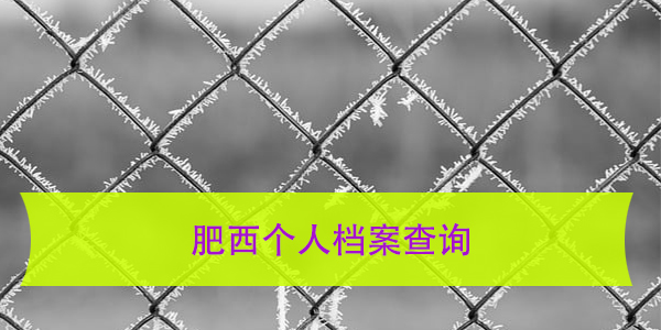 肥西个人档案查询，速来看看