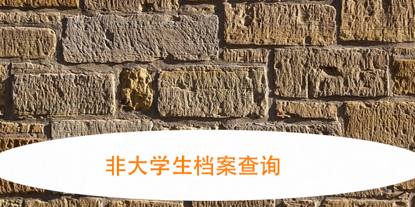 非大学生档案查询，速来查看新方法！