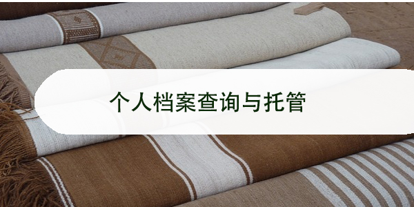 个人档案查询与托管，如何确保档案安全与完整？