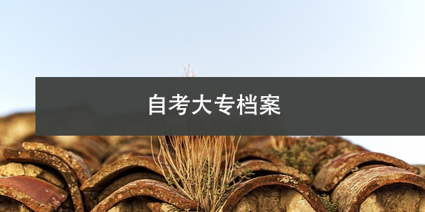 自考大专档案，如何快速定位与查询？