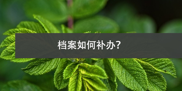 学校倒闭，档案如何补办？