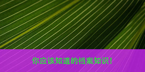 全日制大学档案查询方法，你应该知道的档案知识！