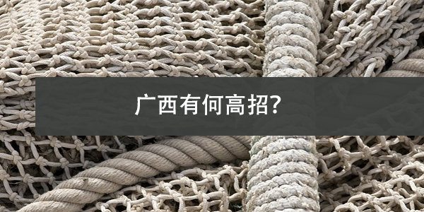 个人档案查询，广西有何高招？