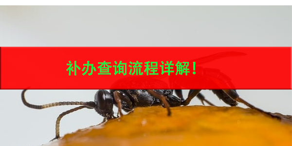 天津电大学籍档案，补办查询流程详解！