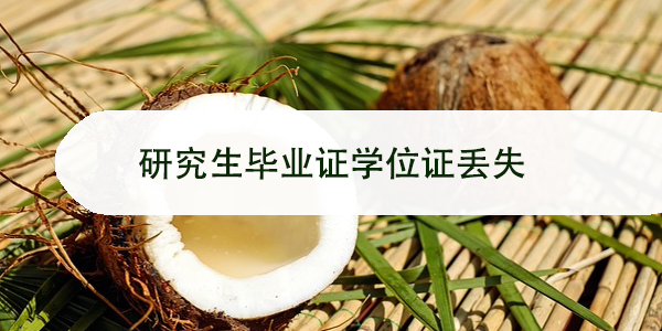 浙江省嘉兴市，个人档案如何查询与管理？