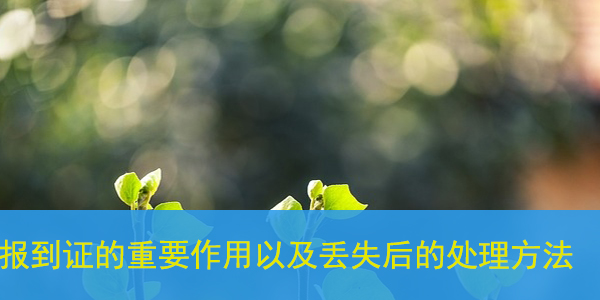 安庆大学生档案查询，个人档案如何查找？