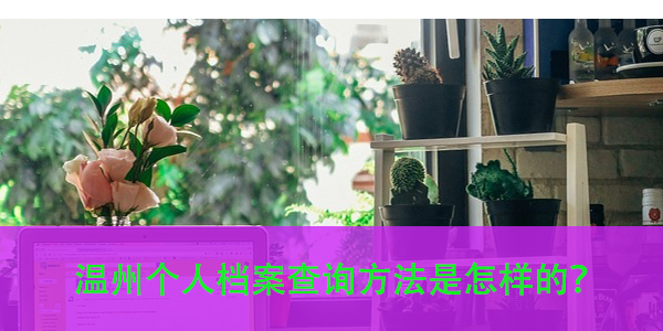 温州个人档案查询方法是怎样的，找不到怎么办？