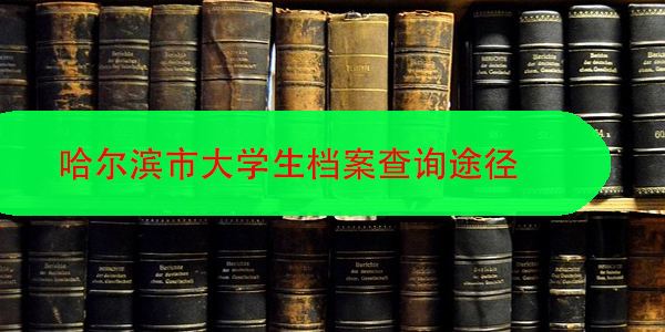 哈尔滨市大学生档案查询途径，如何轻松掌握？