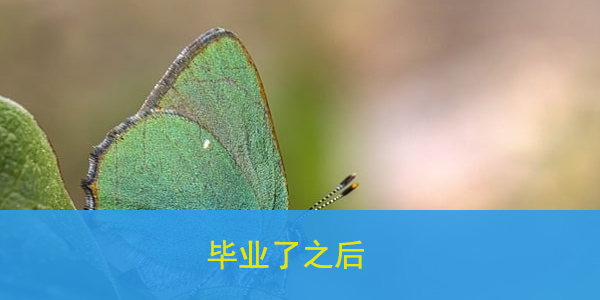 档案袋拆开了怎么处理，档案管理的正确方法？