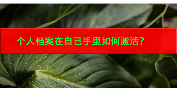 孝感个人档案去向查询，如何轻松掌握档案流向？