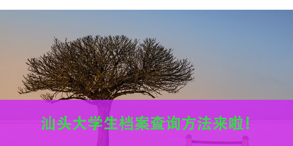 24考研拟报名，材料准备全攻略