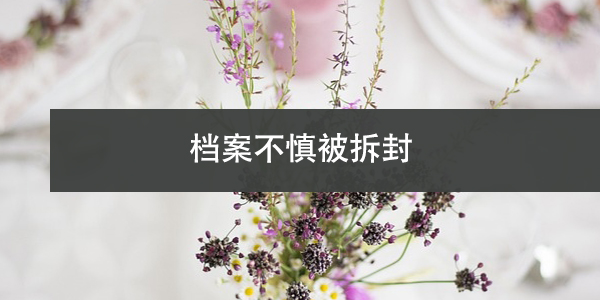 档案自持后遗失，如何补办？