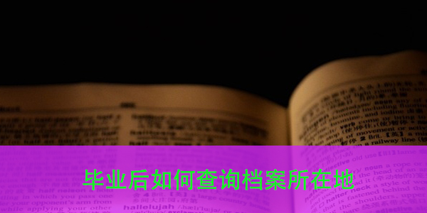 云梦市档案查询方式，你掌握了吗？