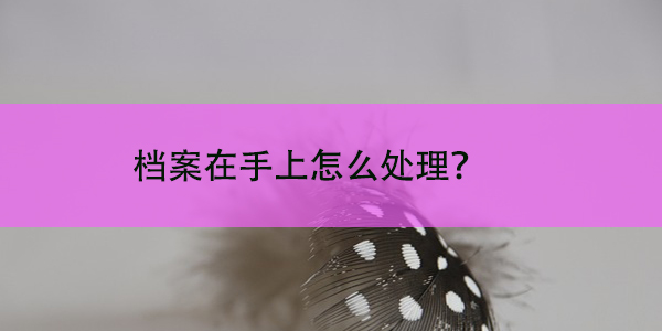 单县大学生档案查询，档案管理知多少？