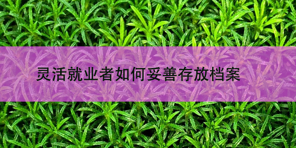 考研准备，档案遗失如何是好？