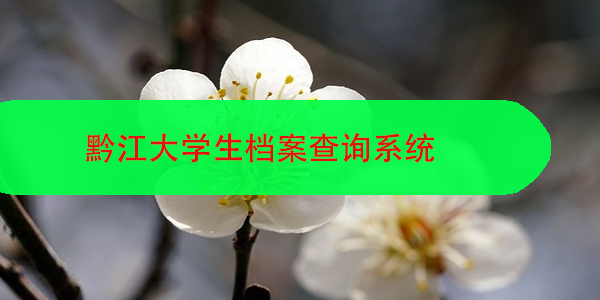 黔江大学生档案查询系统，看完你就赚了